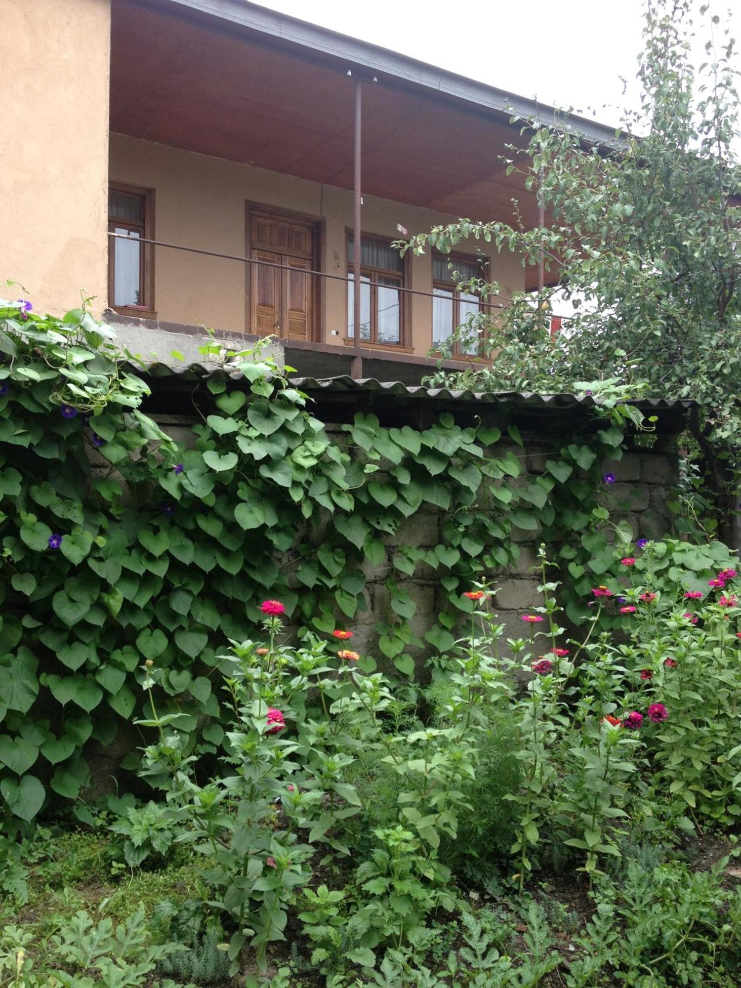 Guesthouse "Kistauri" Telavi Eksteriør billede