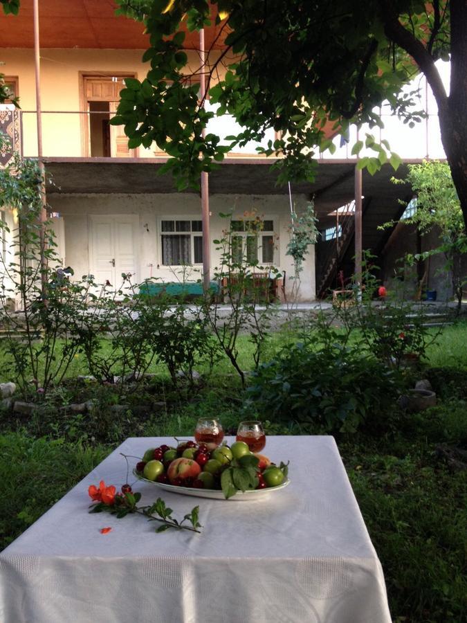 Guesthouse "Kistauri" Telavi Eksteriør billede